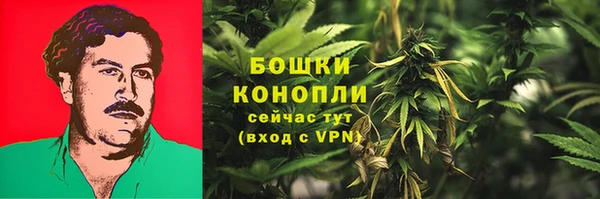 ECSTASY Новодвинск