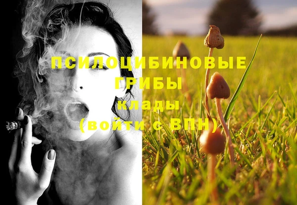 трава Новозыбков