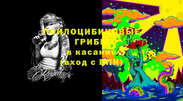 ECSTASY Новодвинск