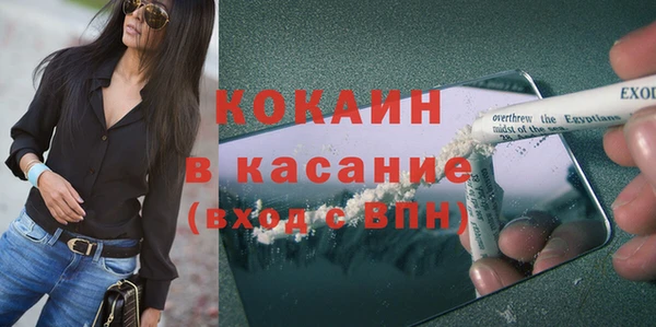 трава Новозыбков