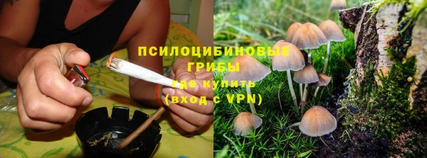 трава Новозыбков