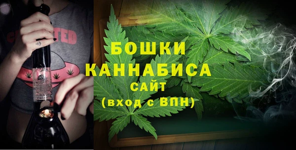 стафф Новокубанск