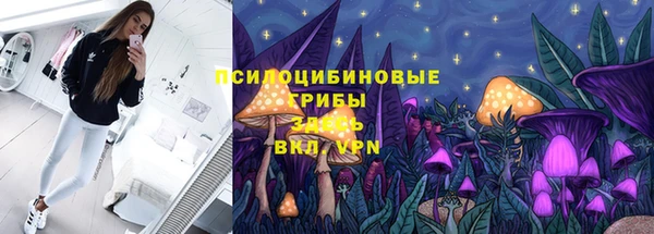 ECSTASY Новодвинск