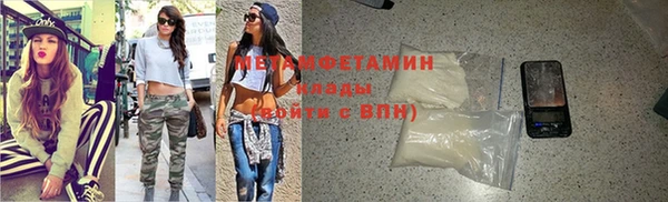 трава Новозыбков