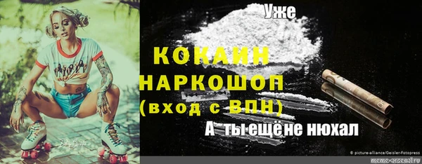 стафф Новокубанск